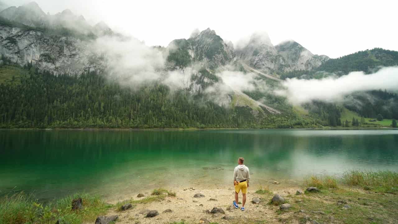 Misty lakeshore